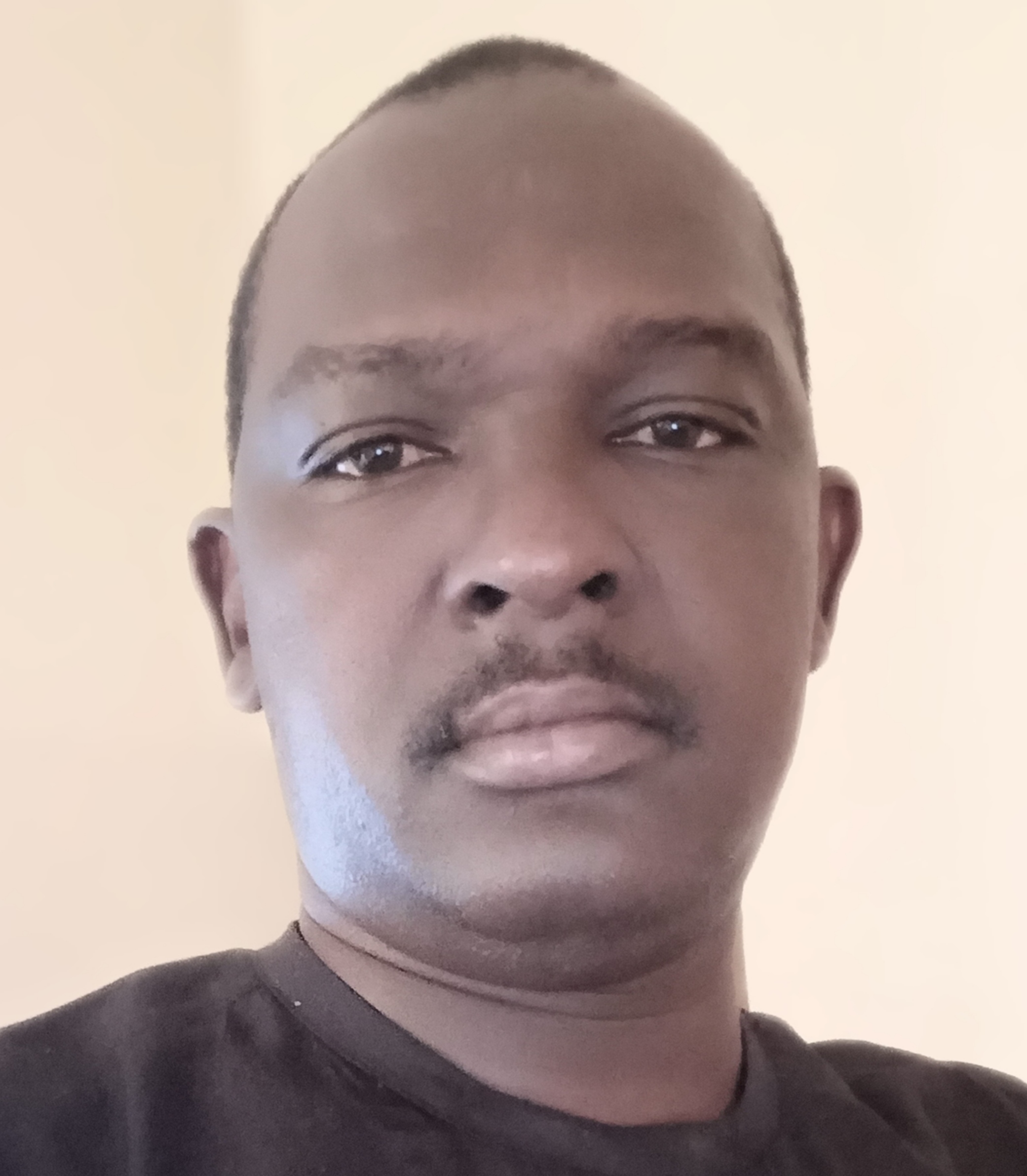 Ibrahim M. Ladan